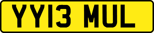 YY13MUL