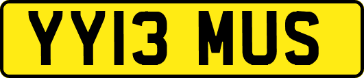 YY13MUS