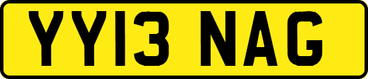 YY13NAG