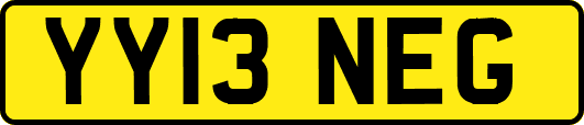 YY13NEG