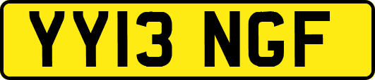 YY13NGF