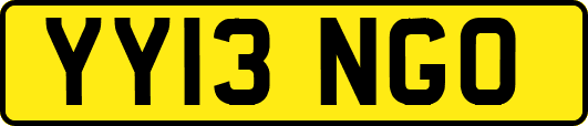 YY13NGO