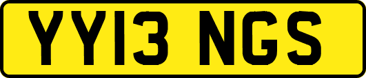 YY13NGS