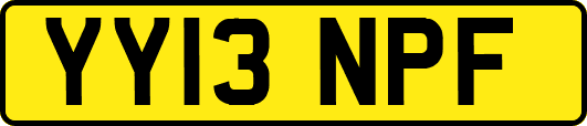 YY13NPF