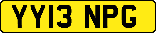 YY13NPG