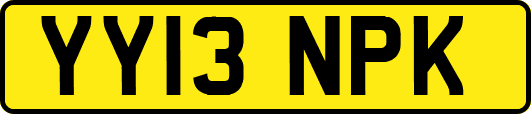 YY13NPK