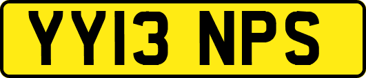 YY13NPS