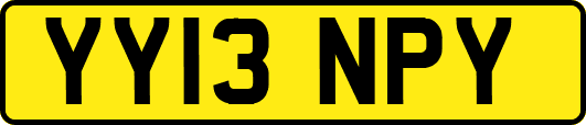 YY13NPY