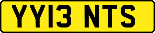 YY13NTS