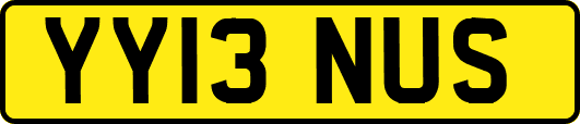 YY13NUS