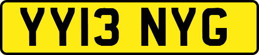 YY13NYG