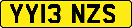 YY13NZS