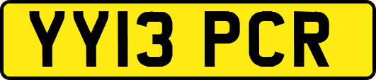 YY13PCR