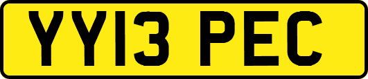 YY13PEC