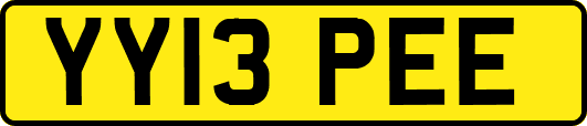 YY13PEE