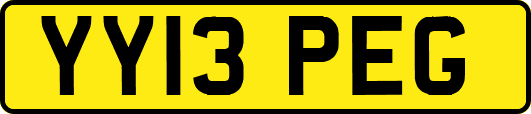 YY13PEG