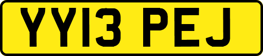 YY13PEJ