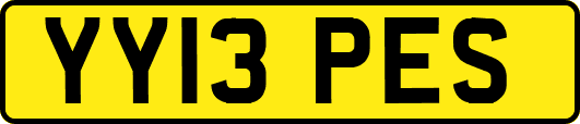 YY13PES