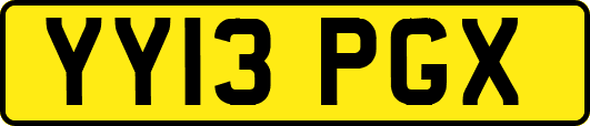 YY13PGX