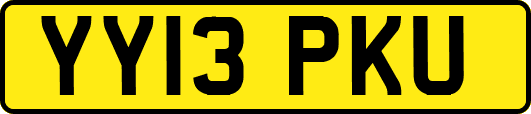 YY13PKU
