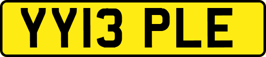 YY13PLE