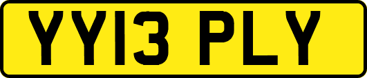 YY13PLY