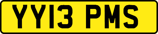 YY13PMS