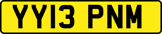 YY13PNM