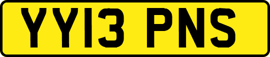 YY13PNS