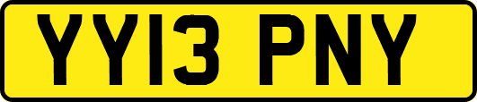 YY13PNY