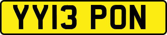 YY13PON