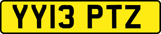 YY13PTZ