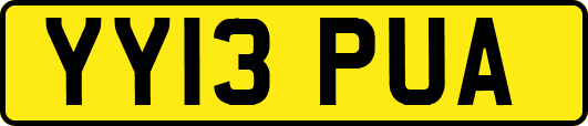 YY13PUA