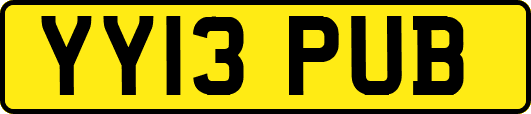 YY13PUB