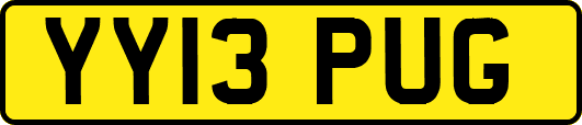 YY13PUG