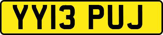YY13PUJ