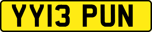 YY13PUN