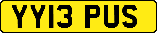 YY13PUS