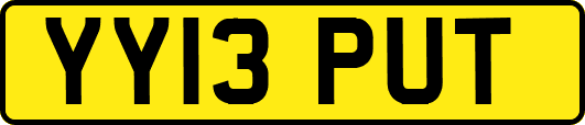 YY13PUT