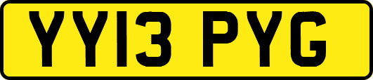 YY13PYG