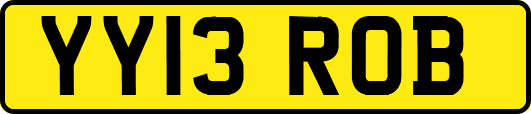 YY13ROB