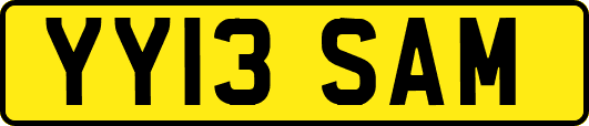 YY13SAM