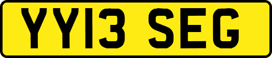 YY13SEG