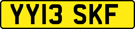 YY13SKF