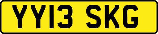 YY13SKG
