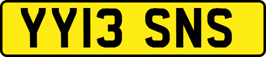 YY13SNS