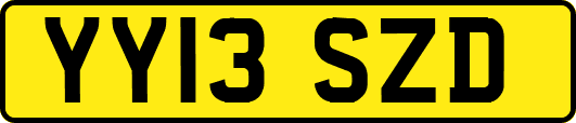 YY13SZD