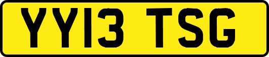 YY13TSG