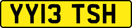 YY13TSH
