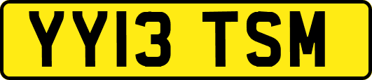 YY13TSM